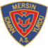 新梅尔辛